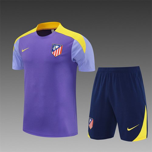 2025-26 Atletico Madrid Purple Short Sleeve Training Jersey