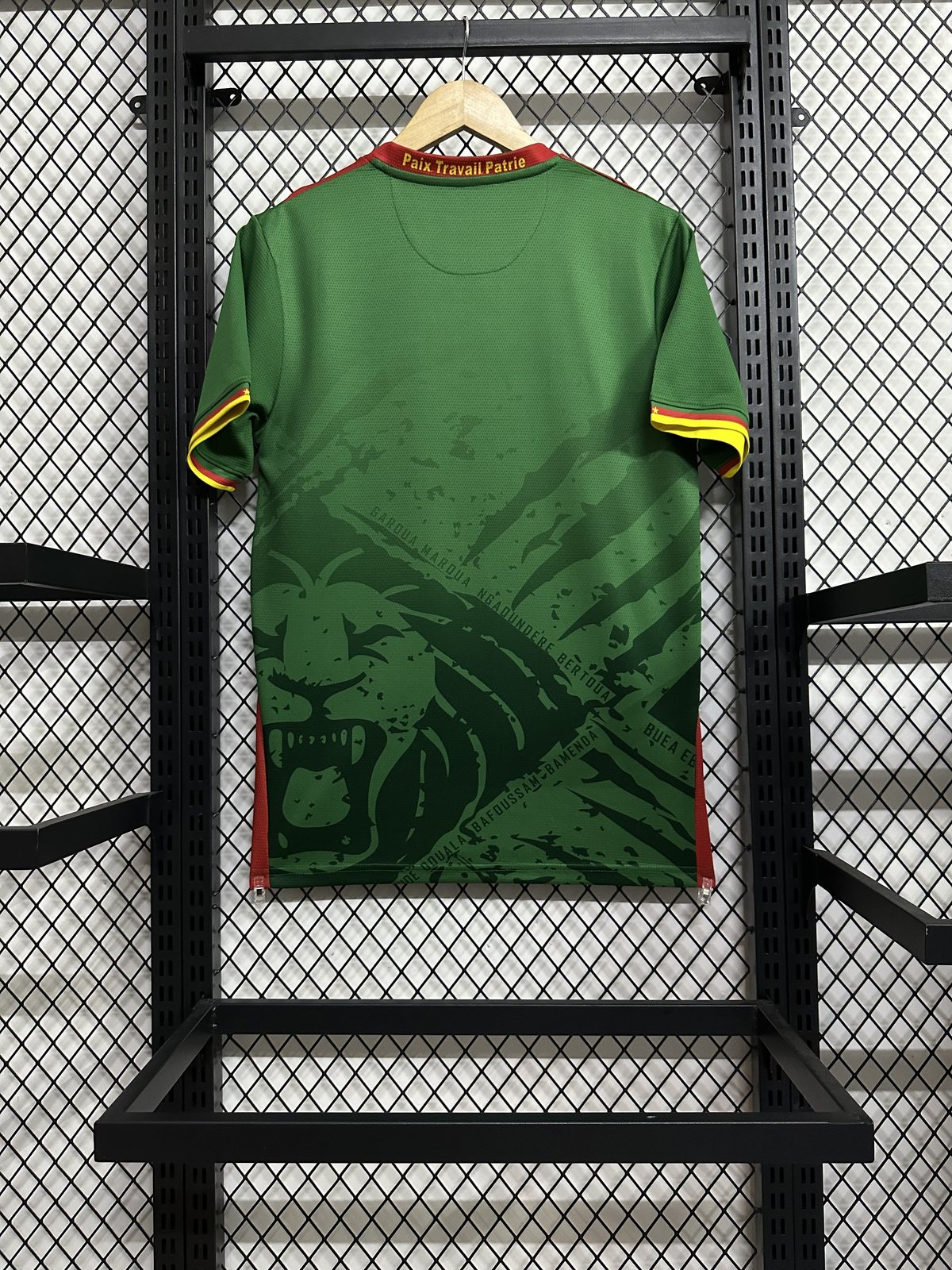 2025-26 Cameroon Home Jersey - Fan Edition