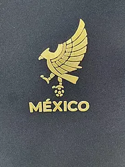 2025-26 Mexico Gold Cup Special Edition Jersey - Players