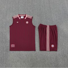 2025-26 Bayern Munich training vest jersey