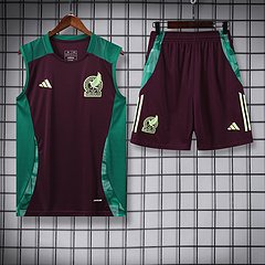 2024-25 Mexico training vest jersey
