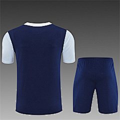 2025-26 Tottenham Hotspur Royal Blue Short Sleeve Training Jersey