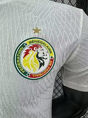 2025-26 Senegal Home Shirt - Players