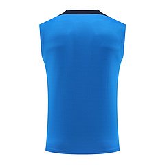 2024-25 Chelsea training shirt