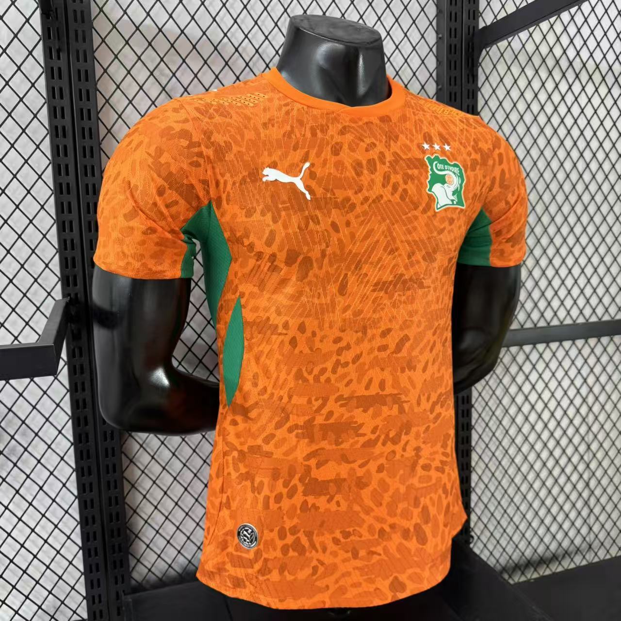 2026-27 Ivory Coast Home Jersey – Player Version