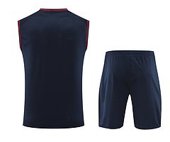 2024-25 Barcelona training vest