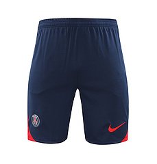 2024-25 Paris Saint-Germain training shirt