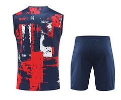 2024-25 Paris Saint-Germain training shirt