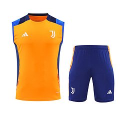 2024-25 Juventus training vest jersey