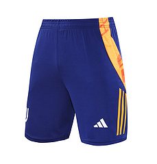 2024-25 Juventus training vest jersey