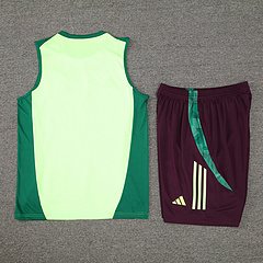 2024-25 Mexico training vest