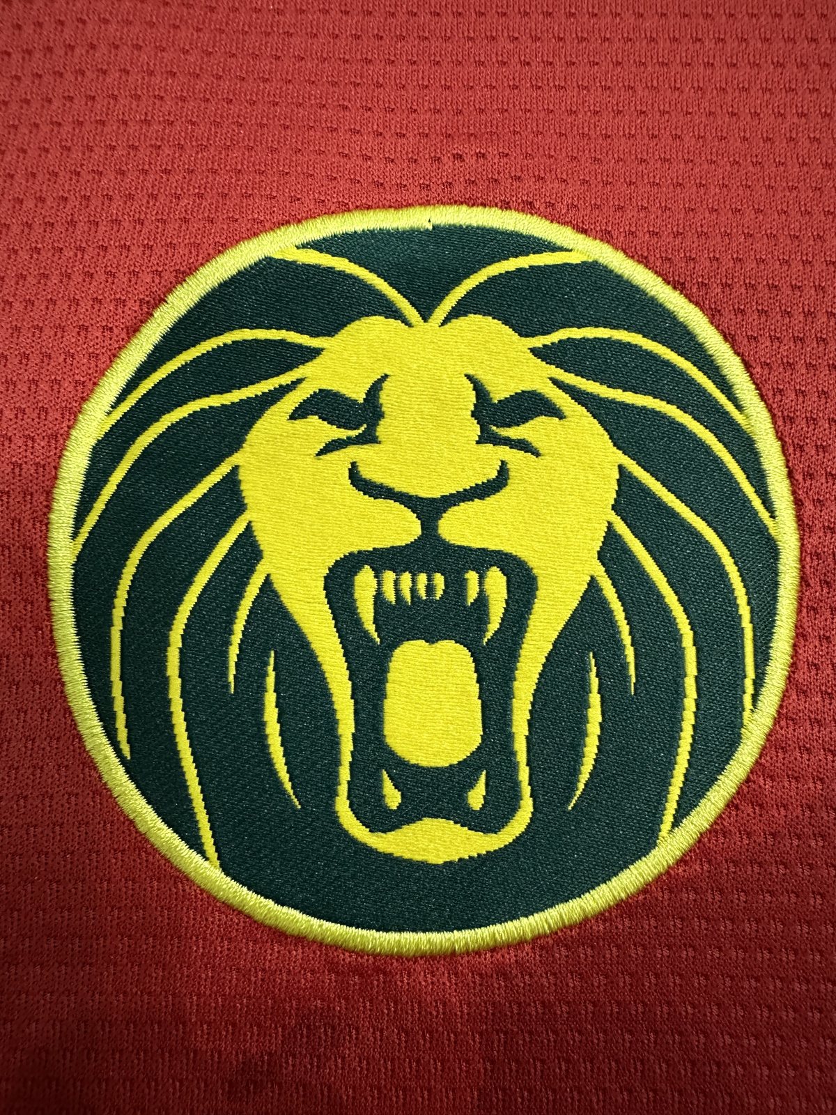 2025-26 Cameroon Away Jersey