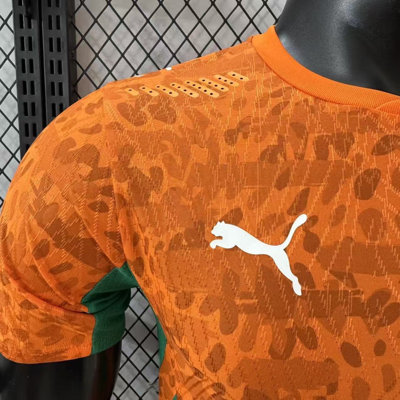 2026-27 Ivory Coast Home Jersey – Player Version