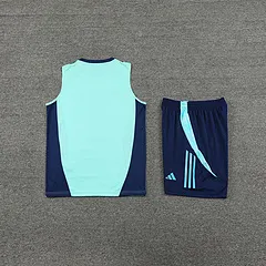 2024-25 Arsenal training vest jersey