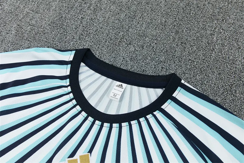 2026-27 Argentina Blue and White Short-Sleeve Training Jersey
