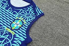 2024-25 Brazil training vest jersey