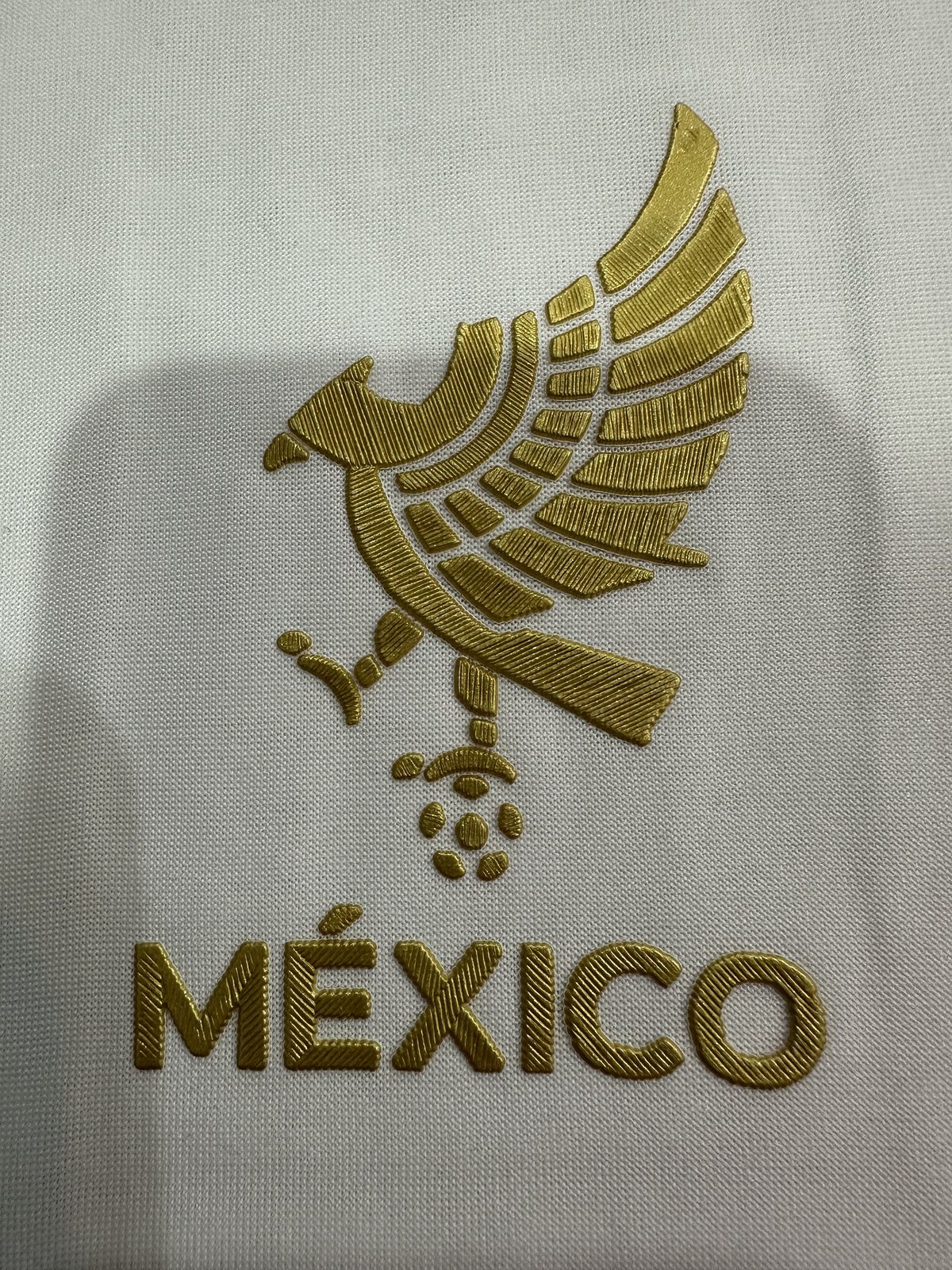 2025-26 Mexico Gold Cup Special Edition Jersey — Player Version