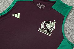2024-25 Mexico training vest jersey