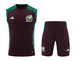 2024-25 Mexico training vest jersey