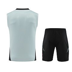 2024-25 Juventus training vest jersey