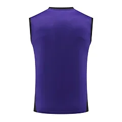 2024-25 Germany training vest jersey