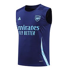 2024-25 Arsenal training vest jersey