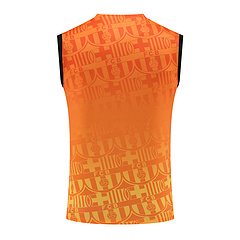 2024-25 Barcelona vest training jersey