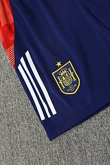 2024-25 Spain training vest jersey
