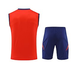 2024-25 Spain training vest jersey