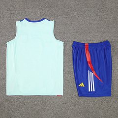 2024-25 Spain training vest jersey