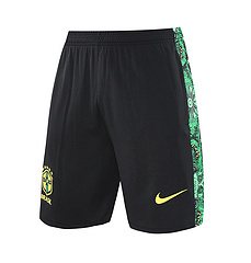 2025-26 Brazil vest training jersey