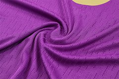 2025-26 Barcelona Purple Half-Dress Training Jersey