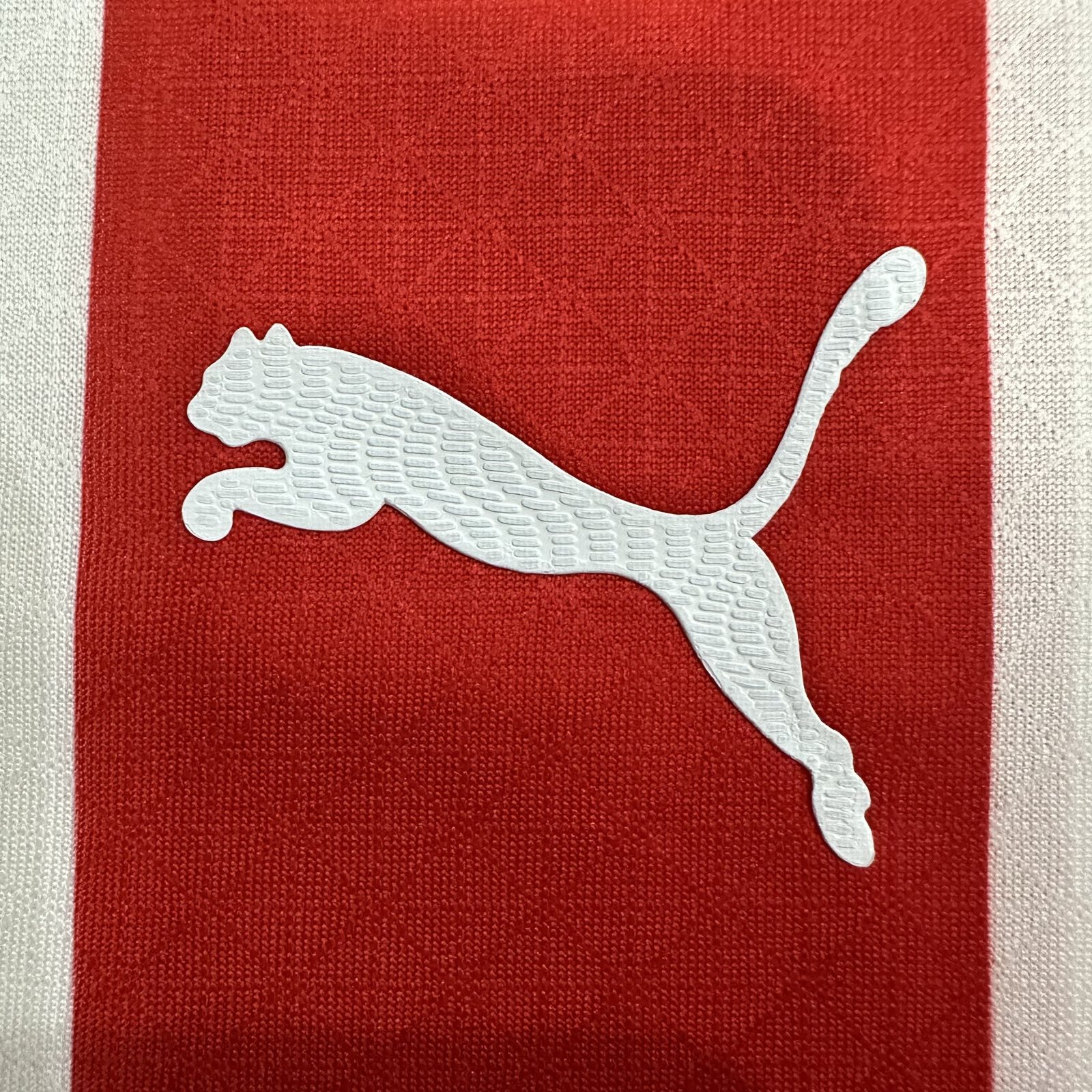 2025-26 Chivas Home Jersey - Player Version