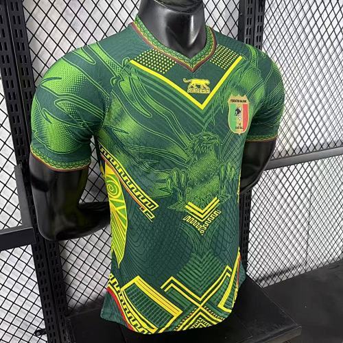 2025-26 Mali Home and Away Jerseys - Player Version