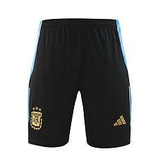 2024-25 Argentina training vest