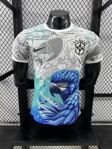 2025-26 Brazil Special Edition Jersey - Players