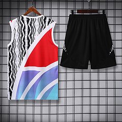 2025-26 Arsenal training vest jersey