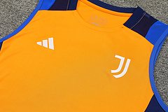 2024-25 Juventus training vest jersey