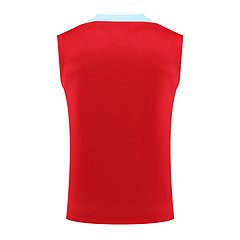 2024-25 Barcelona vest training jersey