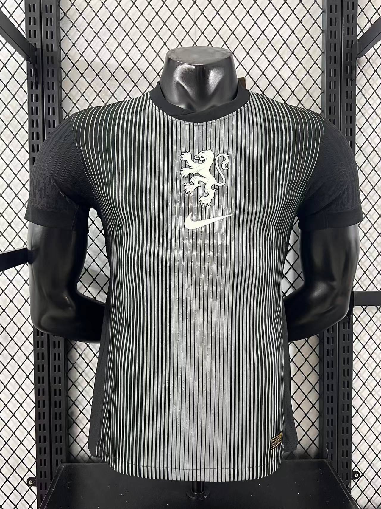 2025-26 Netherlands Goalkeeper Jersey – Player Version