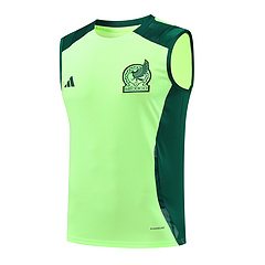 2024-25 Mexico training vest
