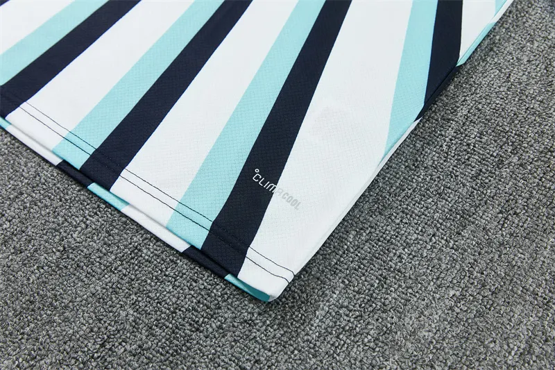 2026-27 Argentina Blue and White Short-Sleeve Training Jersey
