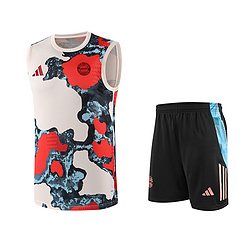 2025-26 Bayern Munich training vest jersey