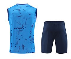 2024-25 Chelsea training shirt
