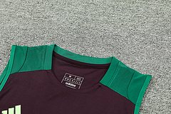 2024-25 Mexico training vest jersey