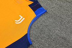 2024-25 Juventus training vest jersey