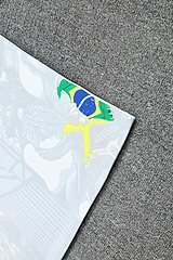 2025-26 Brazil vest training jersey