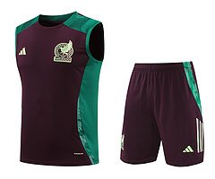 2024-25 Mexico training vest jersey