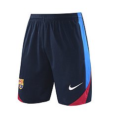 2024-25 Barcelona training vest