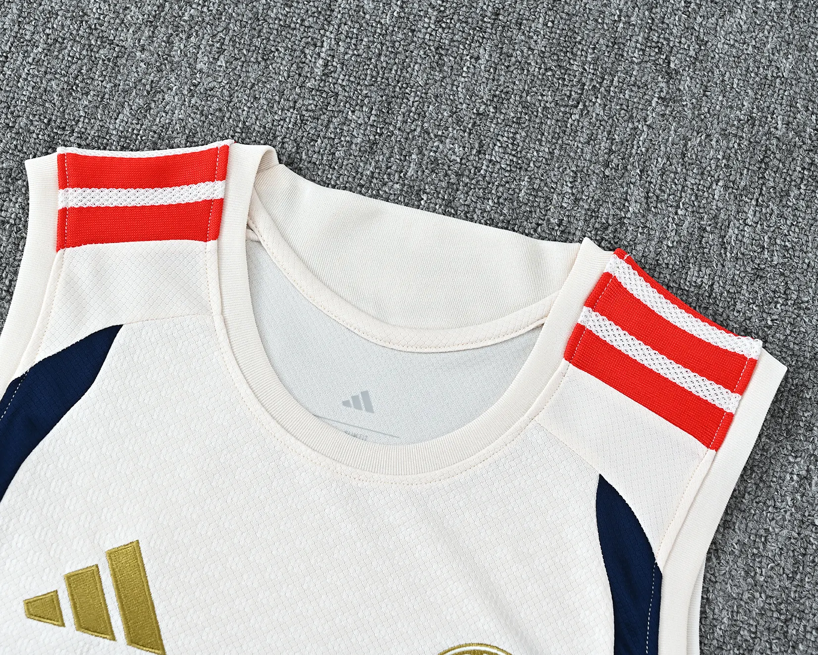 2026-27 Bayern Munich training vest jersey